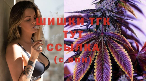 крисы Аркадак