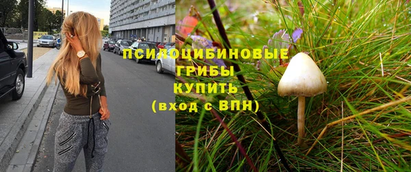 стафф Арсеньев