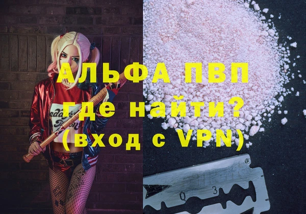 стафф Арсеньев