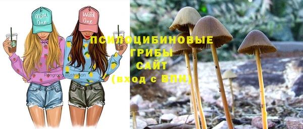PSILOCYBIN Лагань