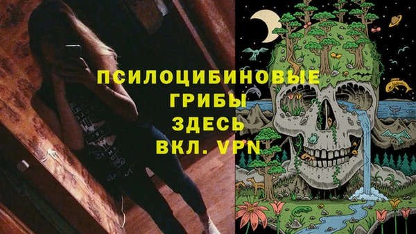 крисы Аркадак