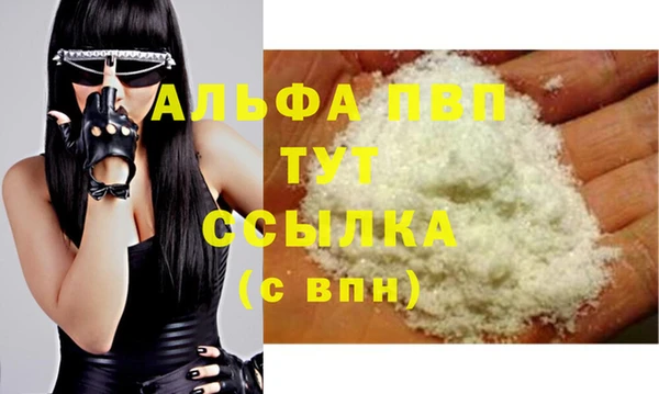 стафф Арсеньев