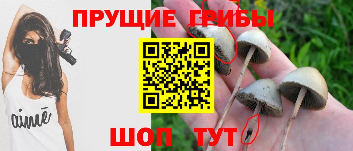 купить   Галлюциногенные грибы Cubensis  Галлюциногенные грибы Psilocybe  Вход с VPN  Бирск 